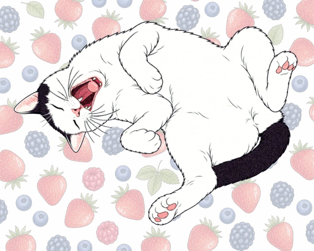 배 보여주기