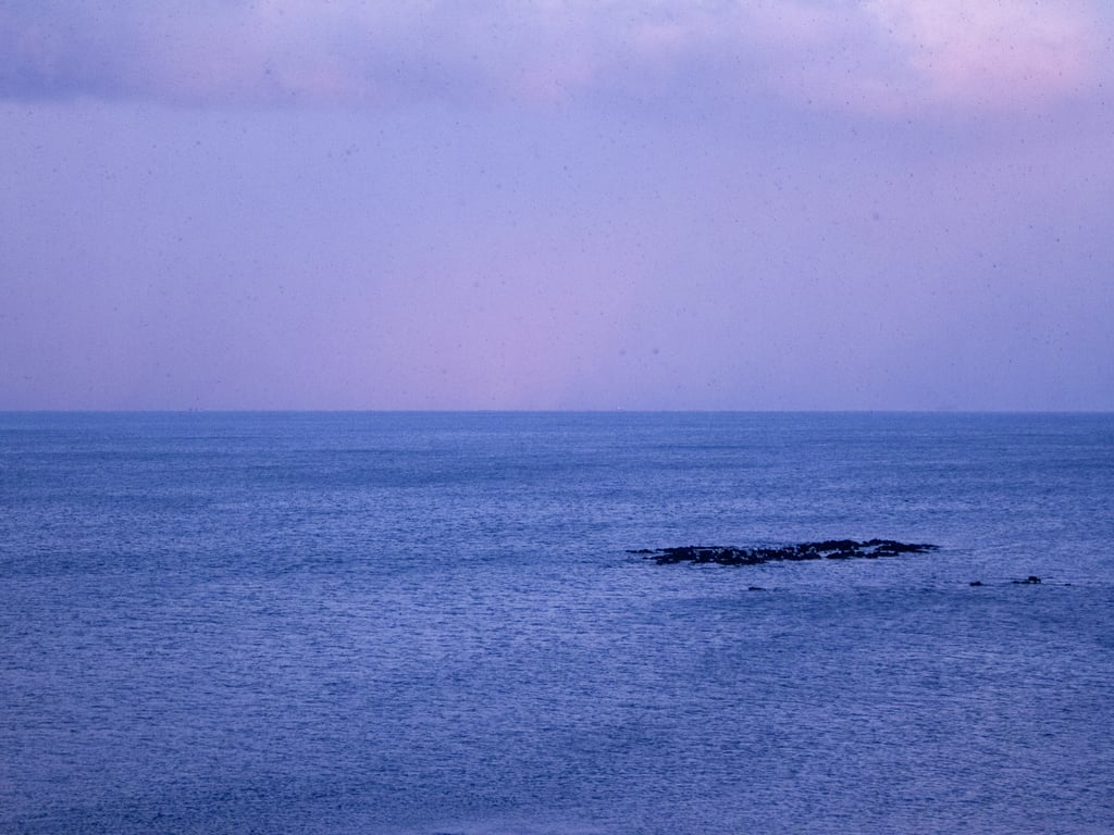 수평선
