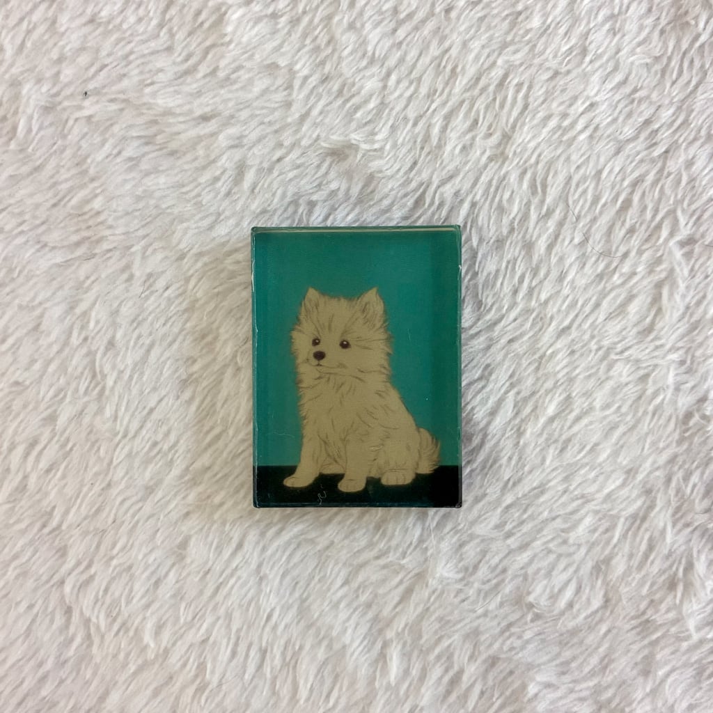 마그넷(포메라니안 라떼)